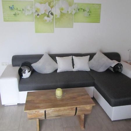 Marienstrasse Apartment Neukirchen vorm Wald ภายนอก รูปภาพ